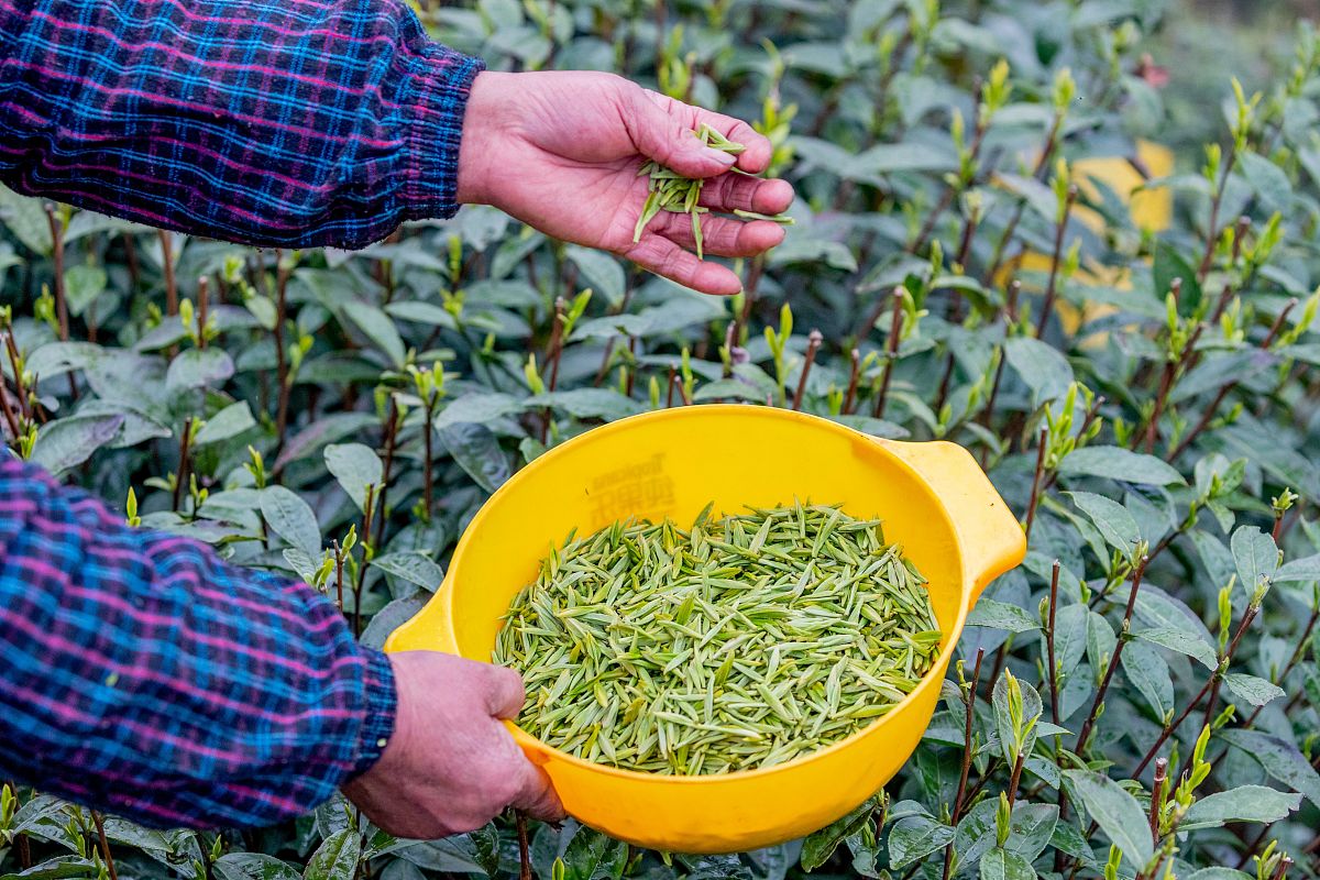 2020年重庆财政学校测量工程专业简介