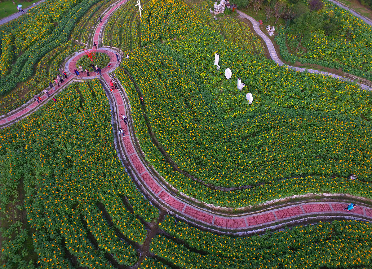 兰州园艺学校2022年招生专业及报名指南