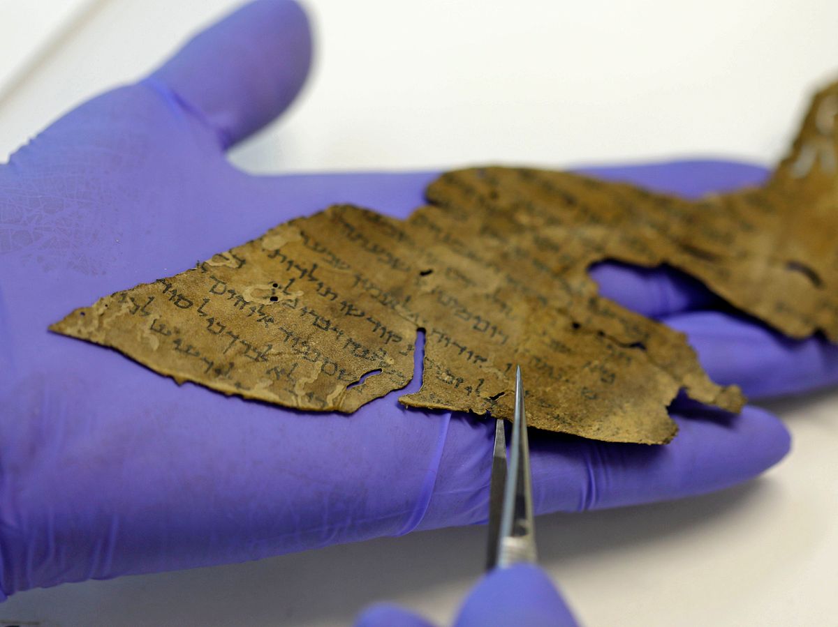 一项最新研究表明,从死海古卷(de<strong>a</strong>d sea scrolls)中提取的古代动物