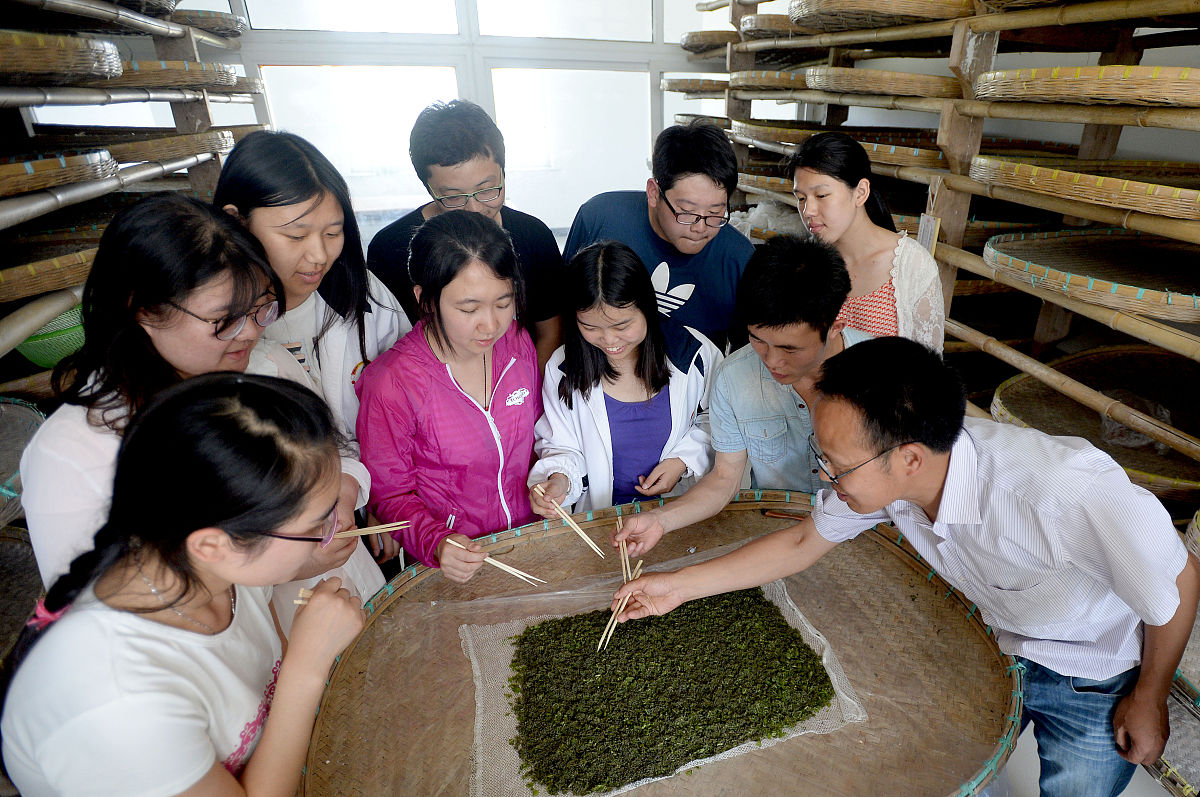 贵州茶叶生产与加工专业学校推荐：这几所学校不容错过