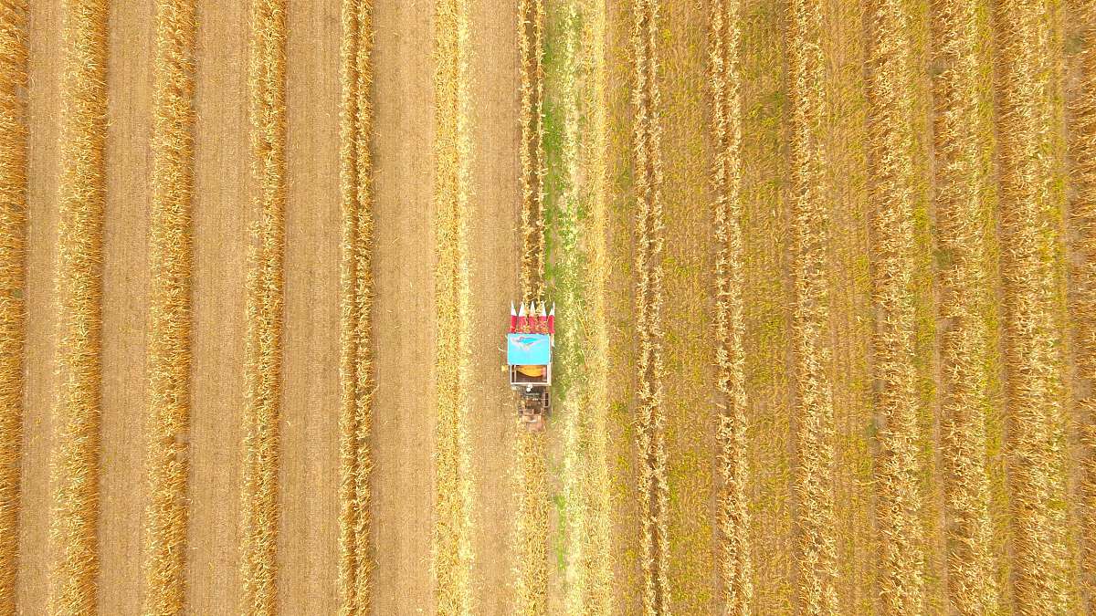 聊城高级工程职业学校2019年招生专业有哪些？