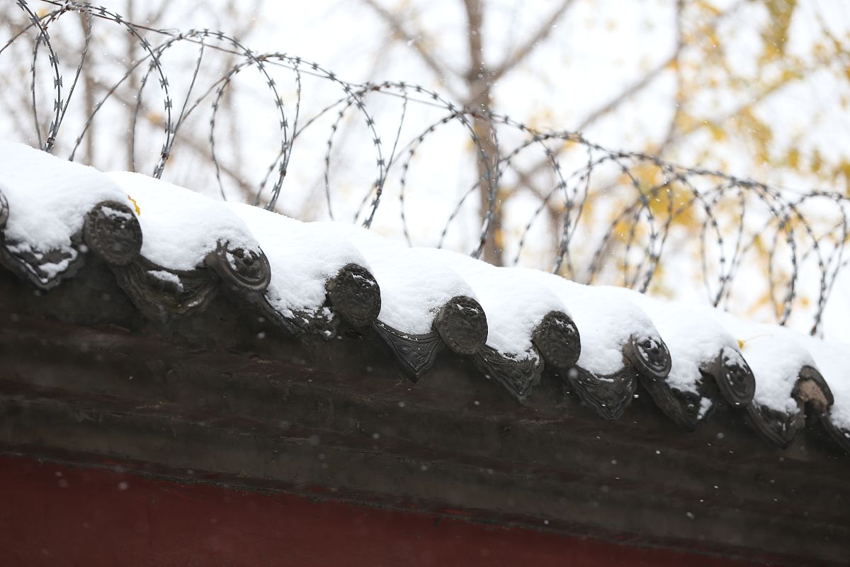 2016年11月22日,河南省郑州市,迎来今冬第一场雪.早上起来,一打开窗户