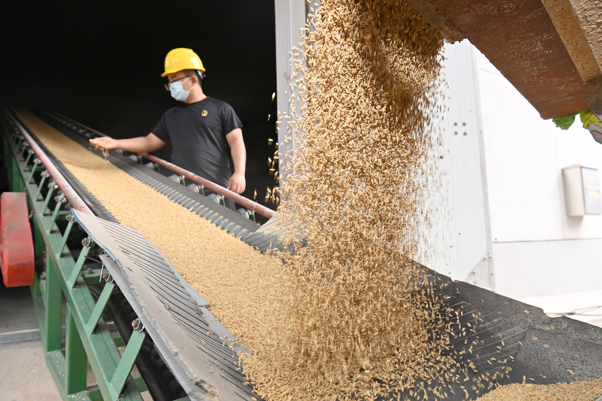四川省工业贸易学校粮油饲料加工技术专业-培养粮油饲料加工领域人才