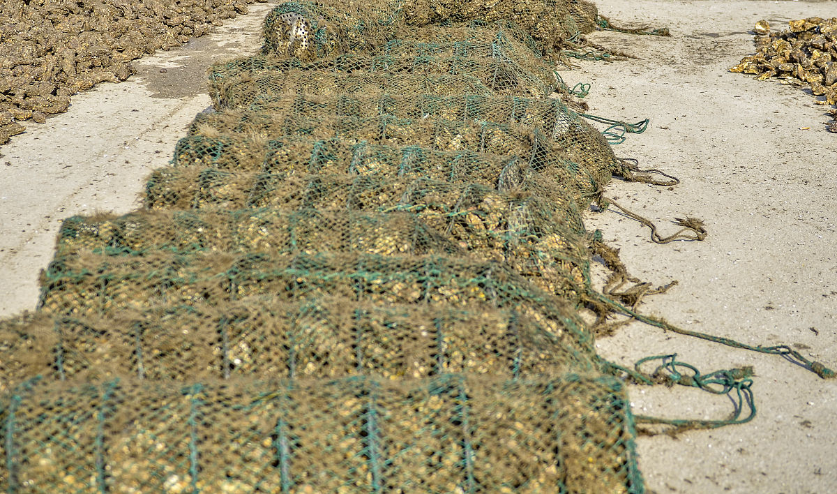 黄河水利职业学院地理信息系统与地图制图技术专业就业方向