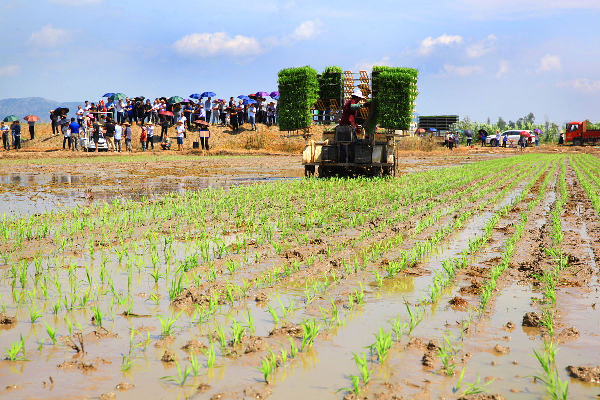 重庆农业机械化学校2021年招生专业：培养农业机械化人才
