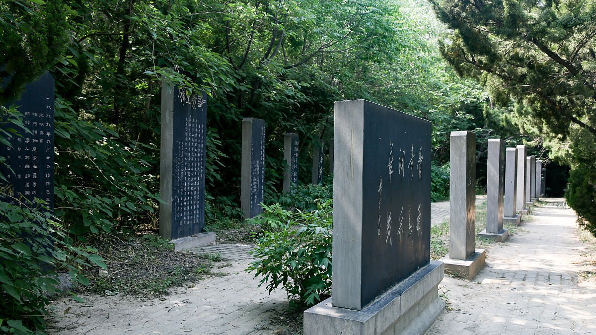 2021年5月30日,山东聊城,曹植墓.
