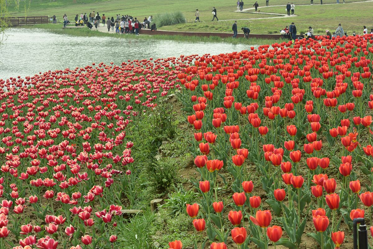 合肥中专学校推荐：2022年读哪所好？