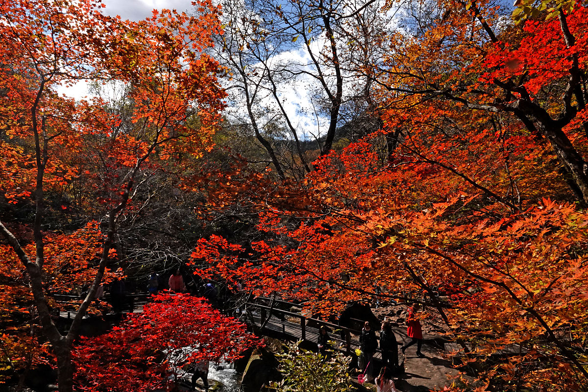 2020年10月6日,辽宁本溪,老边沟风景区的红叶与游人.