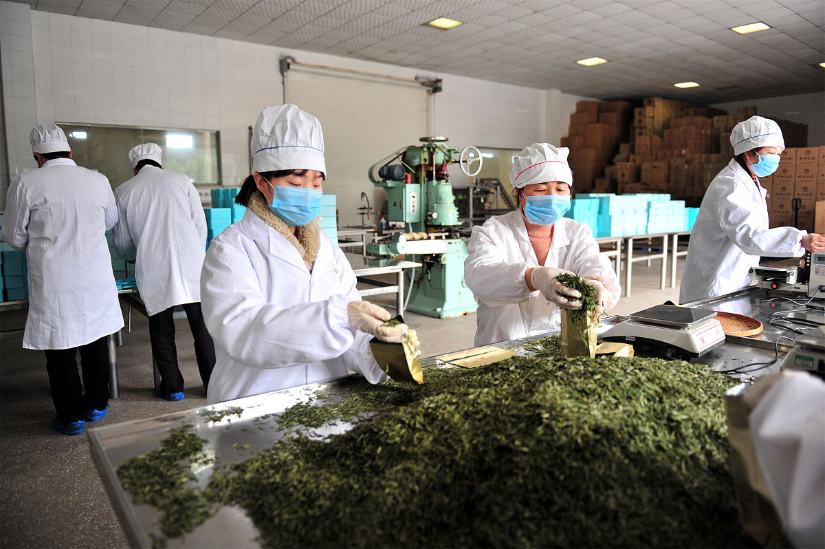 食品营养与检测茶叶营养与检测方向专业就业前景怎么样