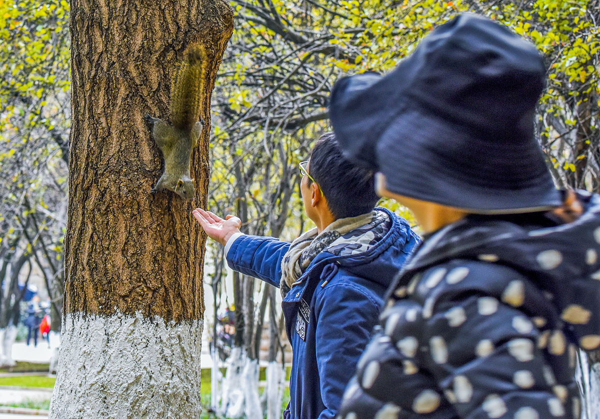 云南哪些大专学校的汽修专业好