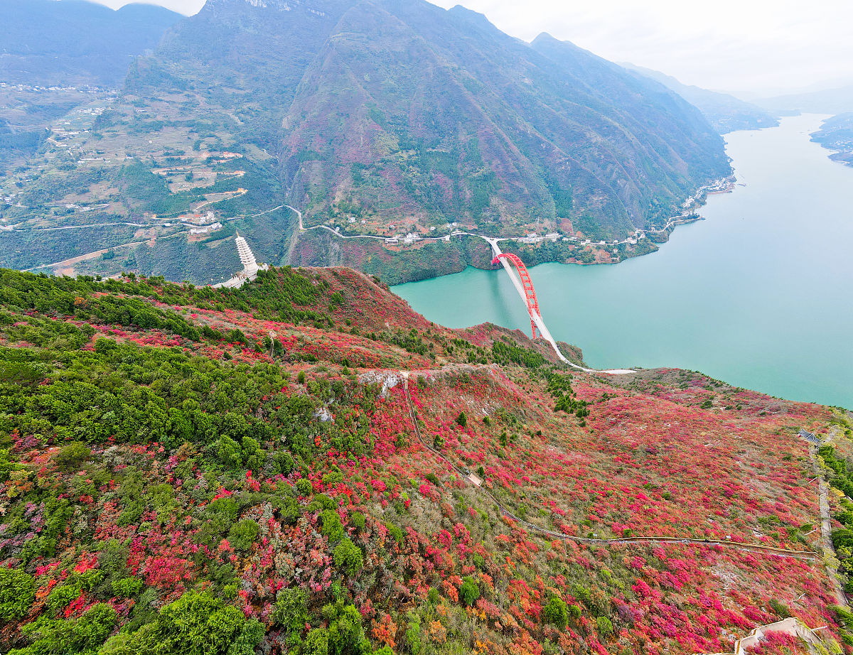 介绍四川攀枝花市800字