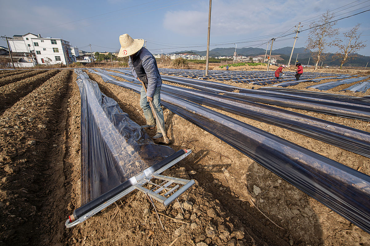 覆膜是否需要纳税回答+拓展
