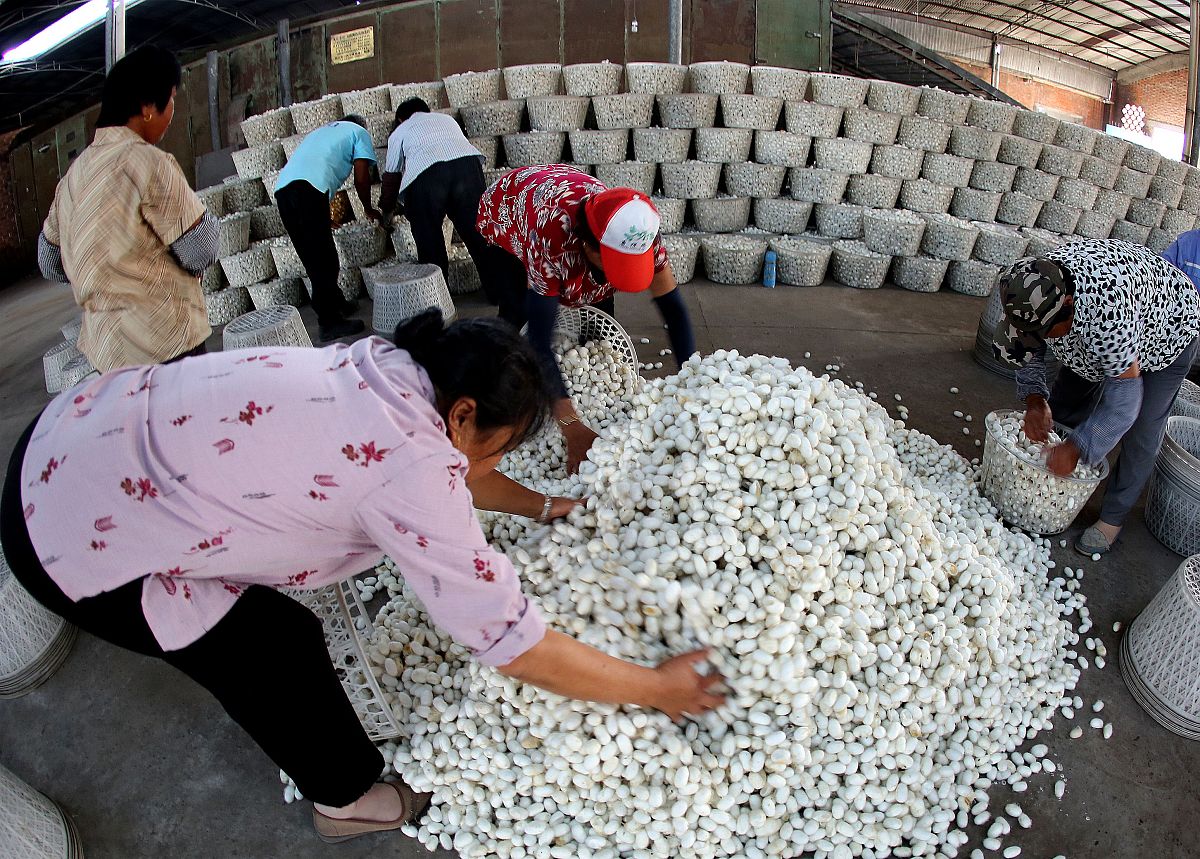 皮蛋出窝后要晾几天