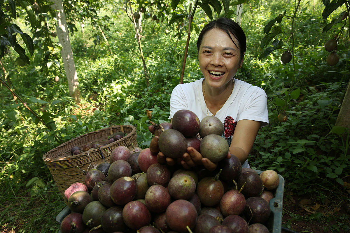 内江机电学校具体地址在哪用发