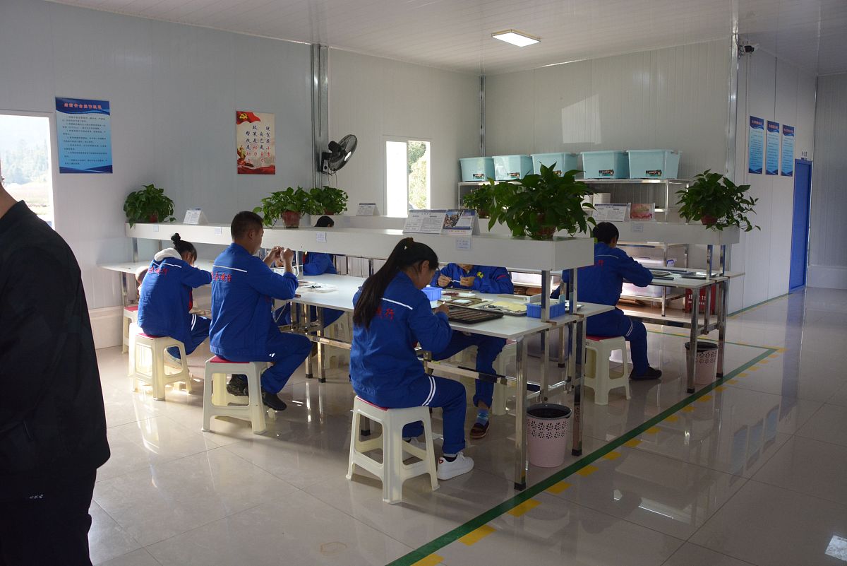 在金发科技股份有限公司的人力资源岗上实习第三周的实习周记至少300字