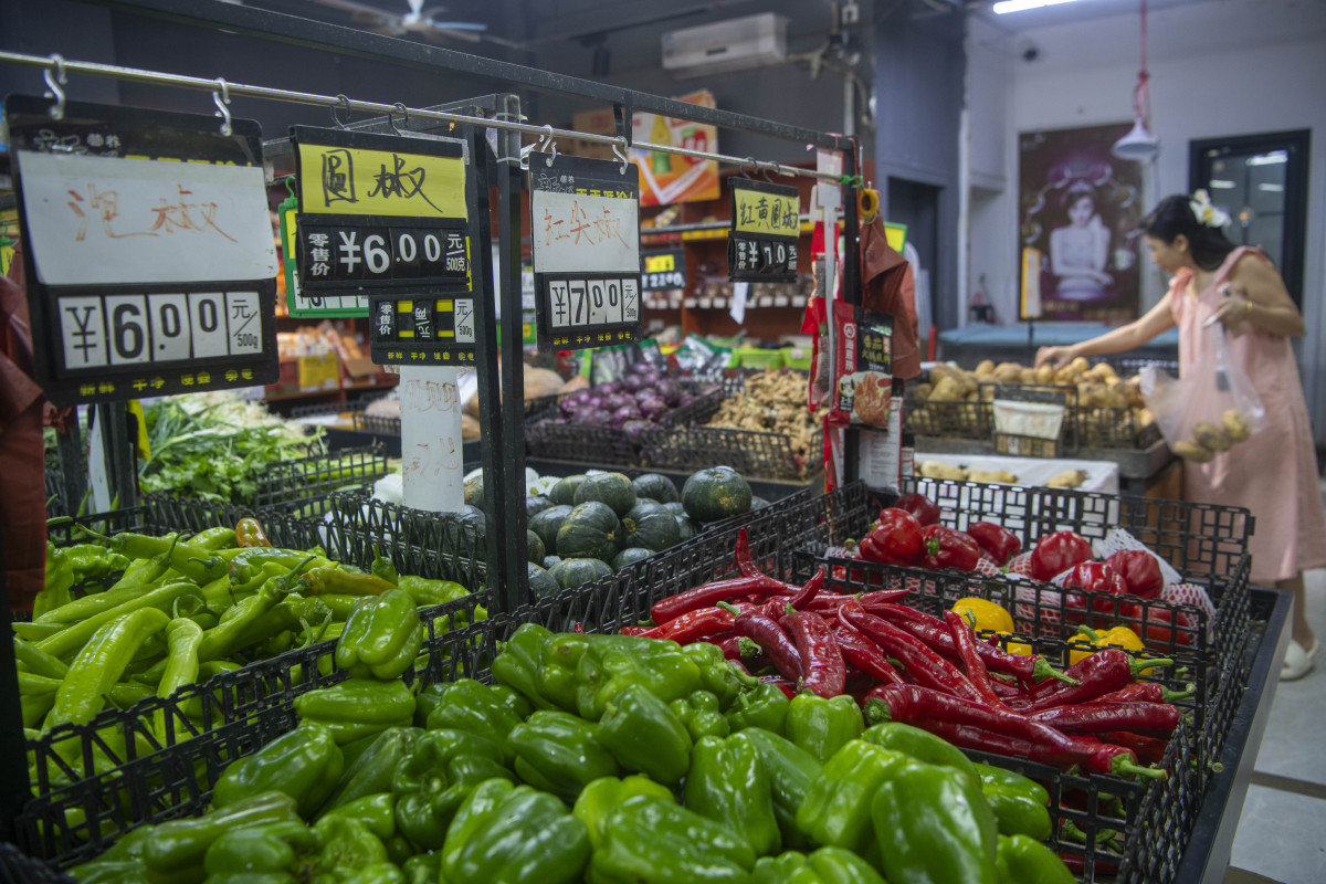 蔬菜是通过香港的蔬菜统营处从内地指定农场通过文锦渡口岸进入香港。大陆的蔬菜发香港大陆的蔬菜出口到香港只需要提供货物的基本情况；比如：货物的基本尺寸数量重量规格等；这些资料提供完毕之后就可以直接的进行中港往返运输。广东省北运菜数量大品种多如茄子辣椒和四季豆等是广东南菜北运的主要品种。广东蔬菜主产区茂名市每年冬种蔬菜播种面积达70多万亩其中70北运。帮我用200字详细描述