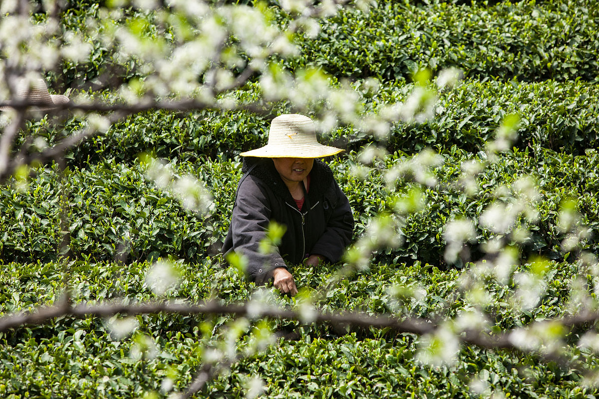 湖北卫校大专院校推荐：2022年热门专业选择