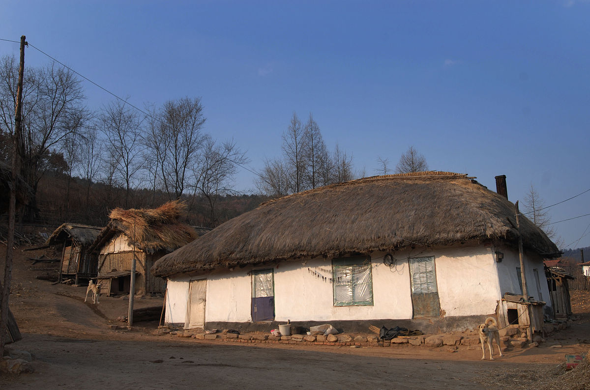 使用文化博主的口吻写篇1000字民间俗语说：宁住独单屋不住簸箕房啥意思？什么是簸箕房？的文章要有和读者互动语句带标题
