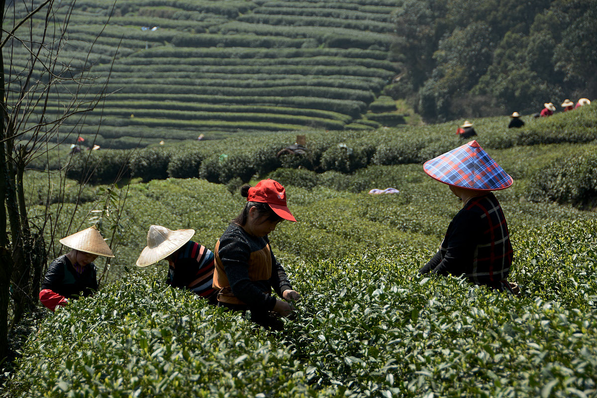 第九师白杨市工程建设领域农民工工资支付集中攻坚专项行动第二期开展情况通报