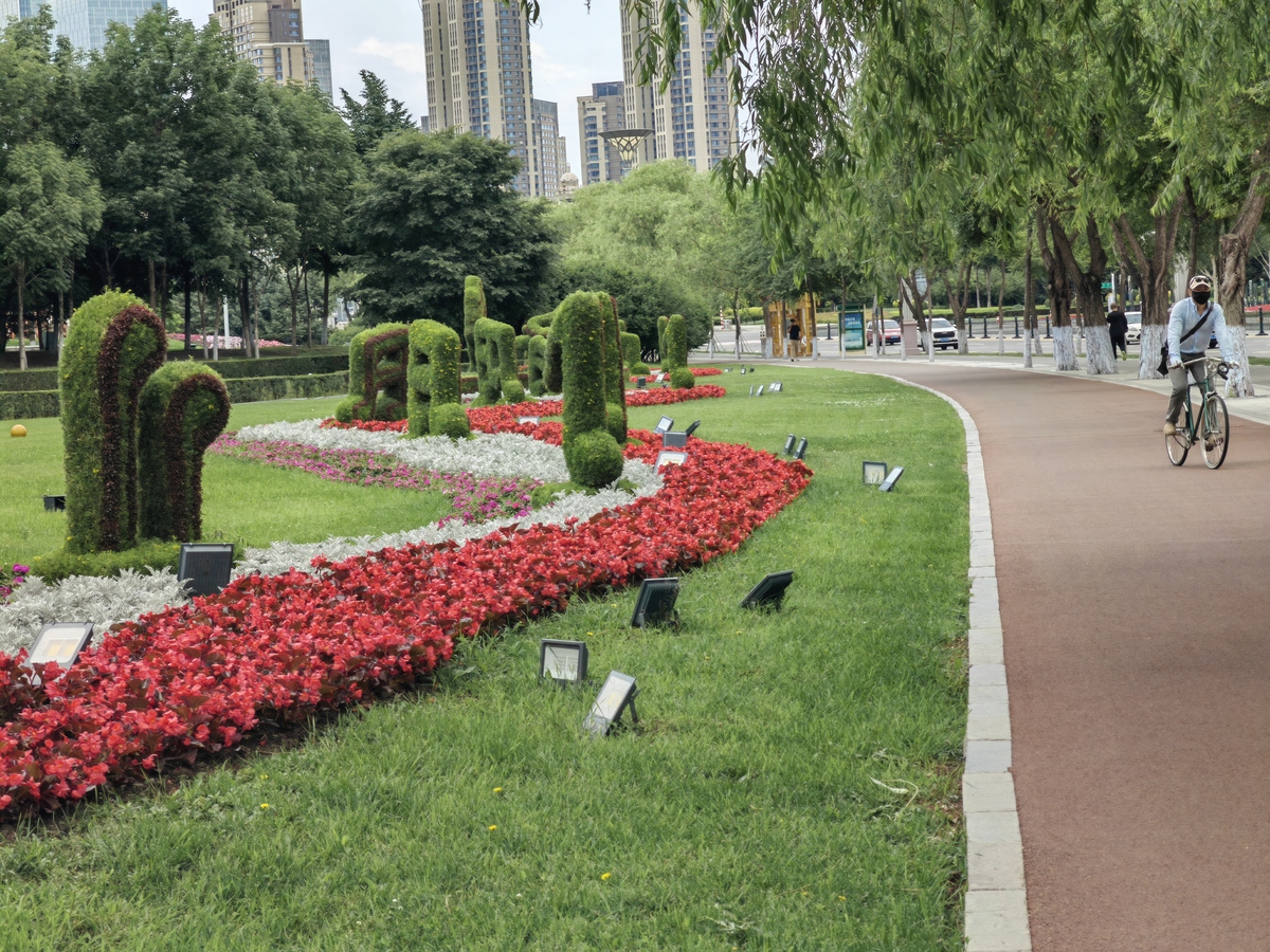 西安市东三环道路绿化植物选择与配置方法研究意义