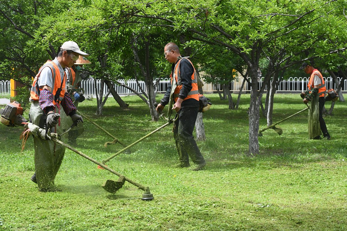 果岭和接近到达那里的一年中的第一次喷洒以帮助保持它们坚硬和热加上通过发球台获得传球和旋转切割继续进行的刮擦