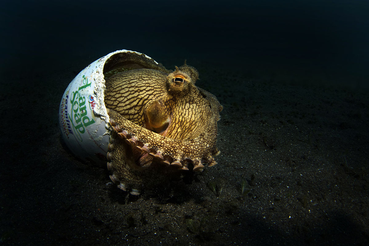 Collaborating with NSR for Risky Seller Deep Dive and Education