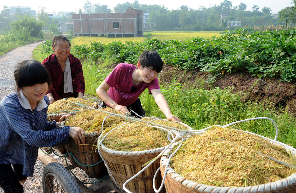 漳州市农业学校就业前景怎样？
