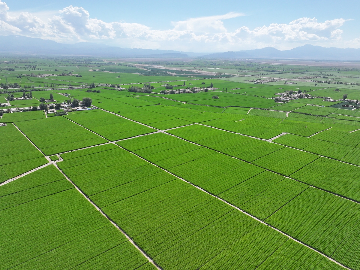 甘肃卫生职业学院2019年招生简章
