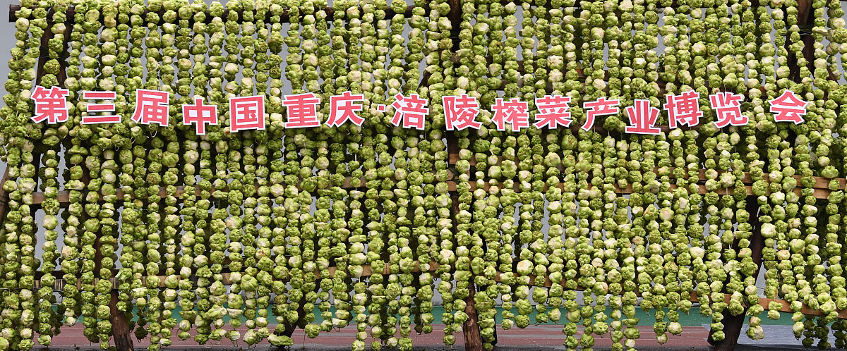 军人乡村振兴：意义重大，助力振兴发展