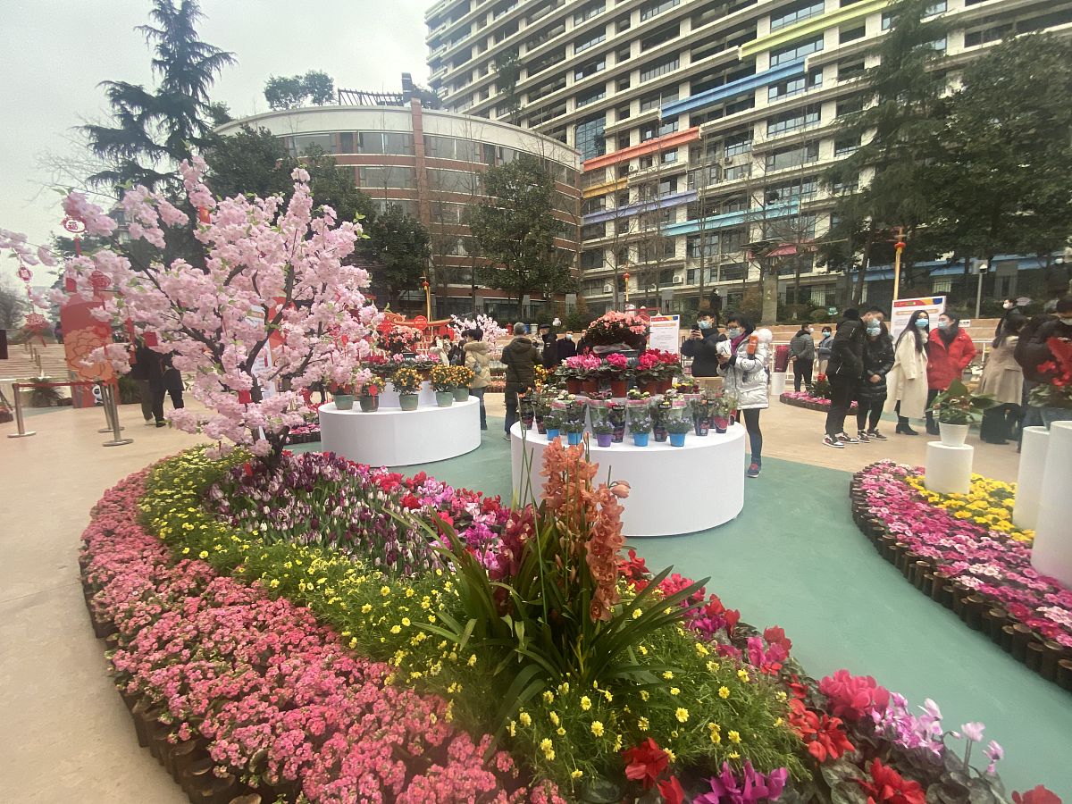 2021年1月29日,由成都市公园城市建设管理局指导,成都文化旅游发展集