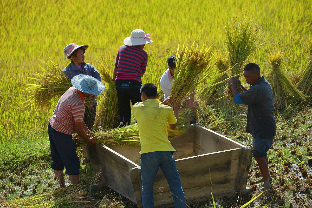 国外农民财产性收入现状及影响因素研究书籍推荐