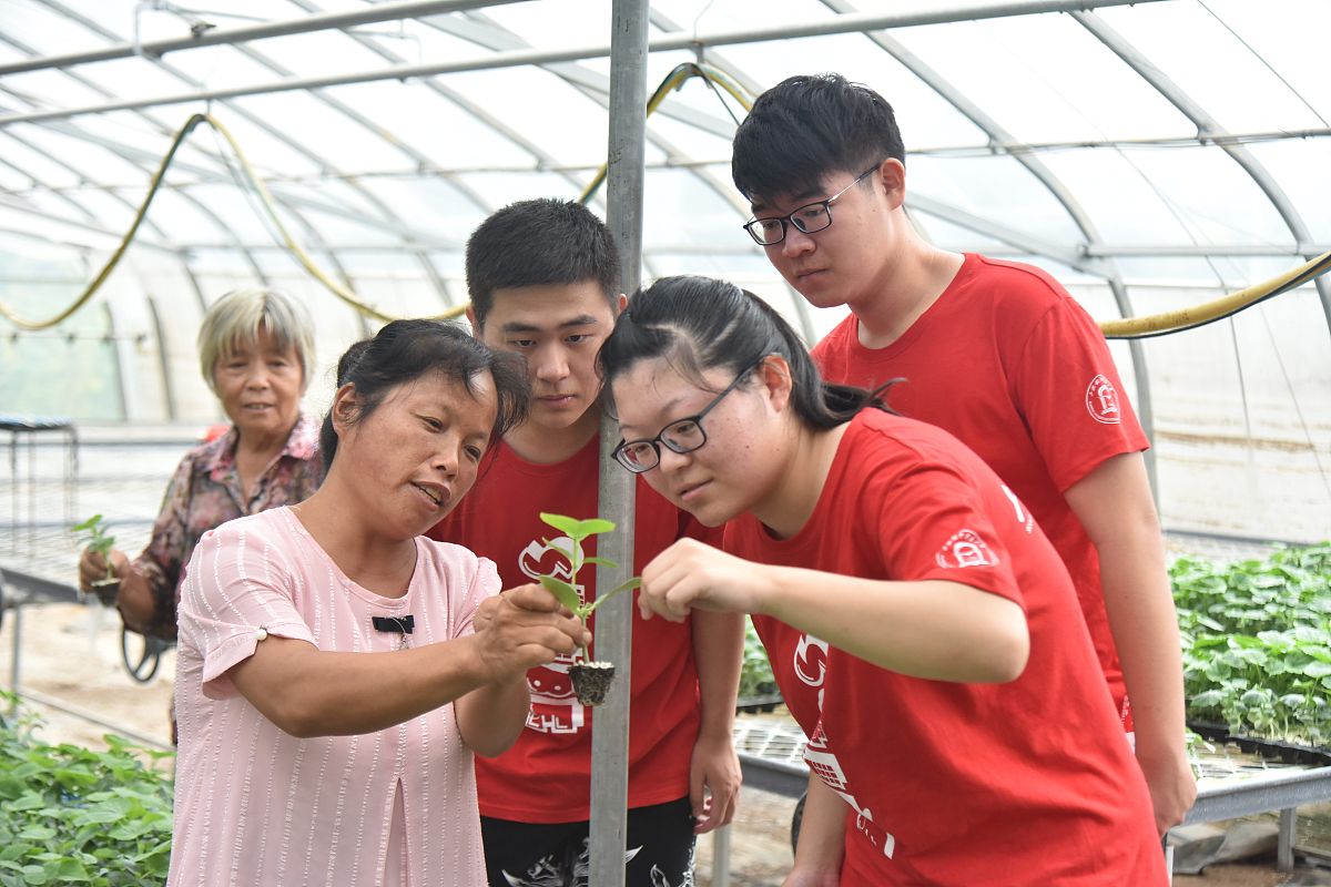 大学生活：如何将个人理想与社会理想有机结合？