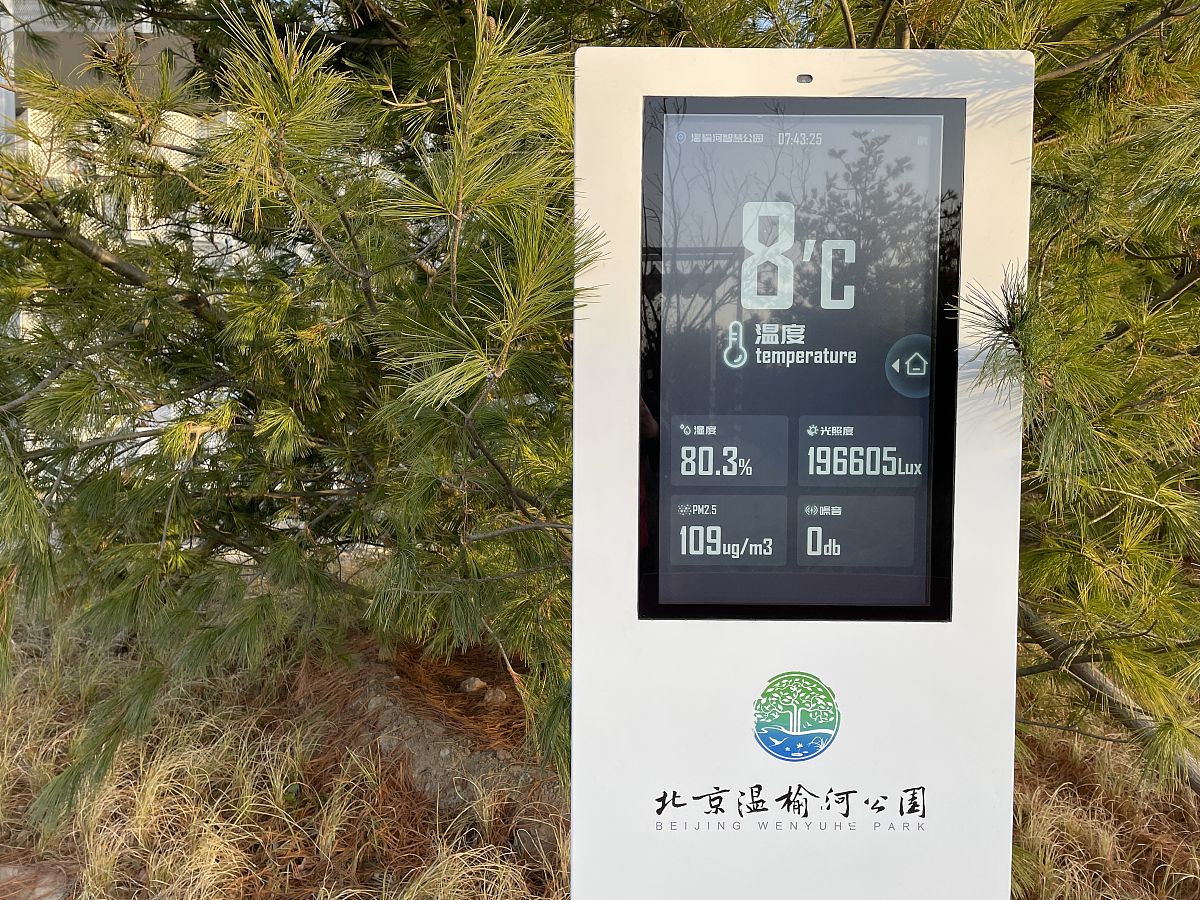 C51 智能垃圾桶程序：红外感应开盖、垃圾量检测