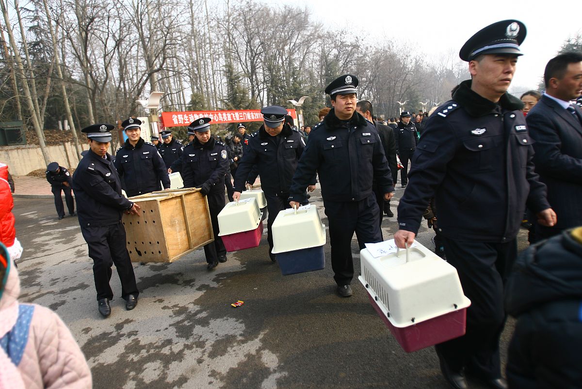青浦区文旅局执法大队7月20日和8月12日执法行动