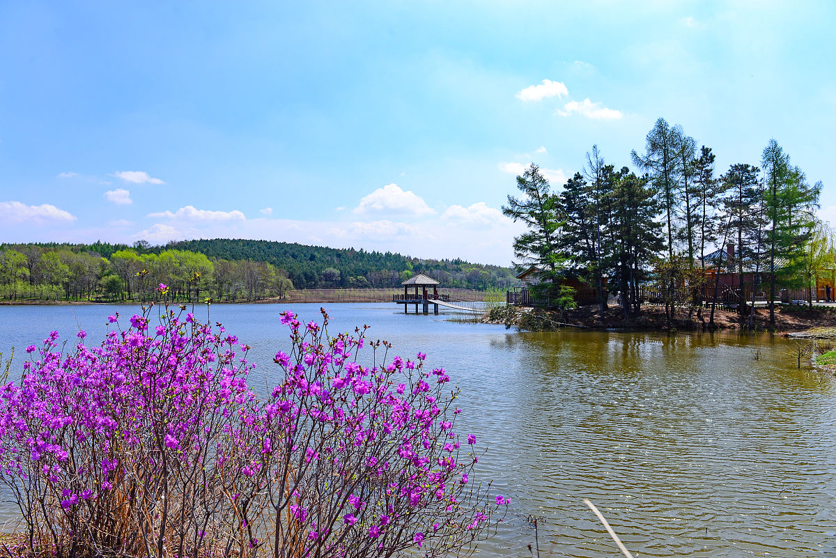 描写场景的句子有哪些