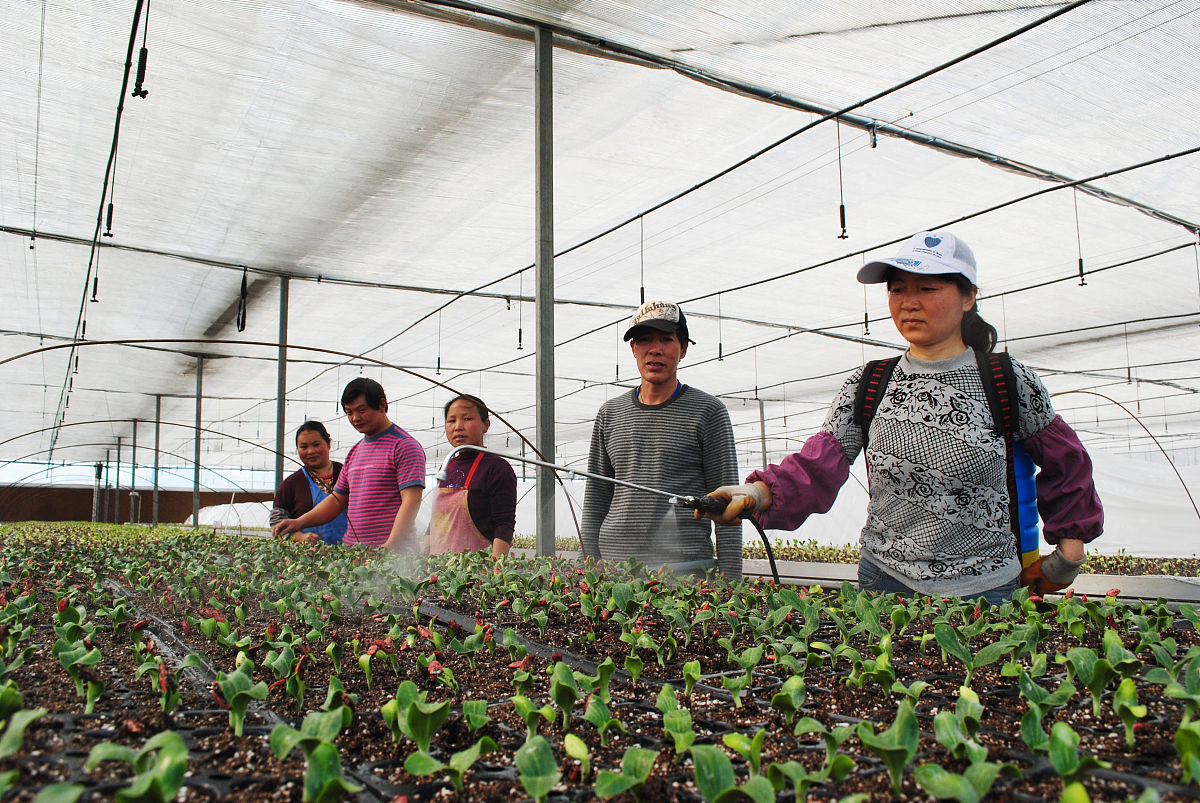 黑龙江农垦科技职业学院农业装备应用技术专业专业怎么样都要学些什么