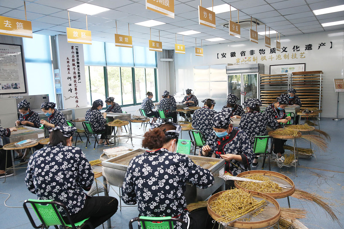 2019年8月23日,工作人员在安徽省六安市霍山石斛文化产业园霍山石斛枫