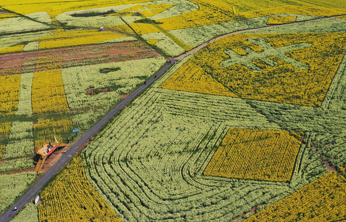 800字大学生学习决战决胜脱贫攻坚的心得体会