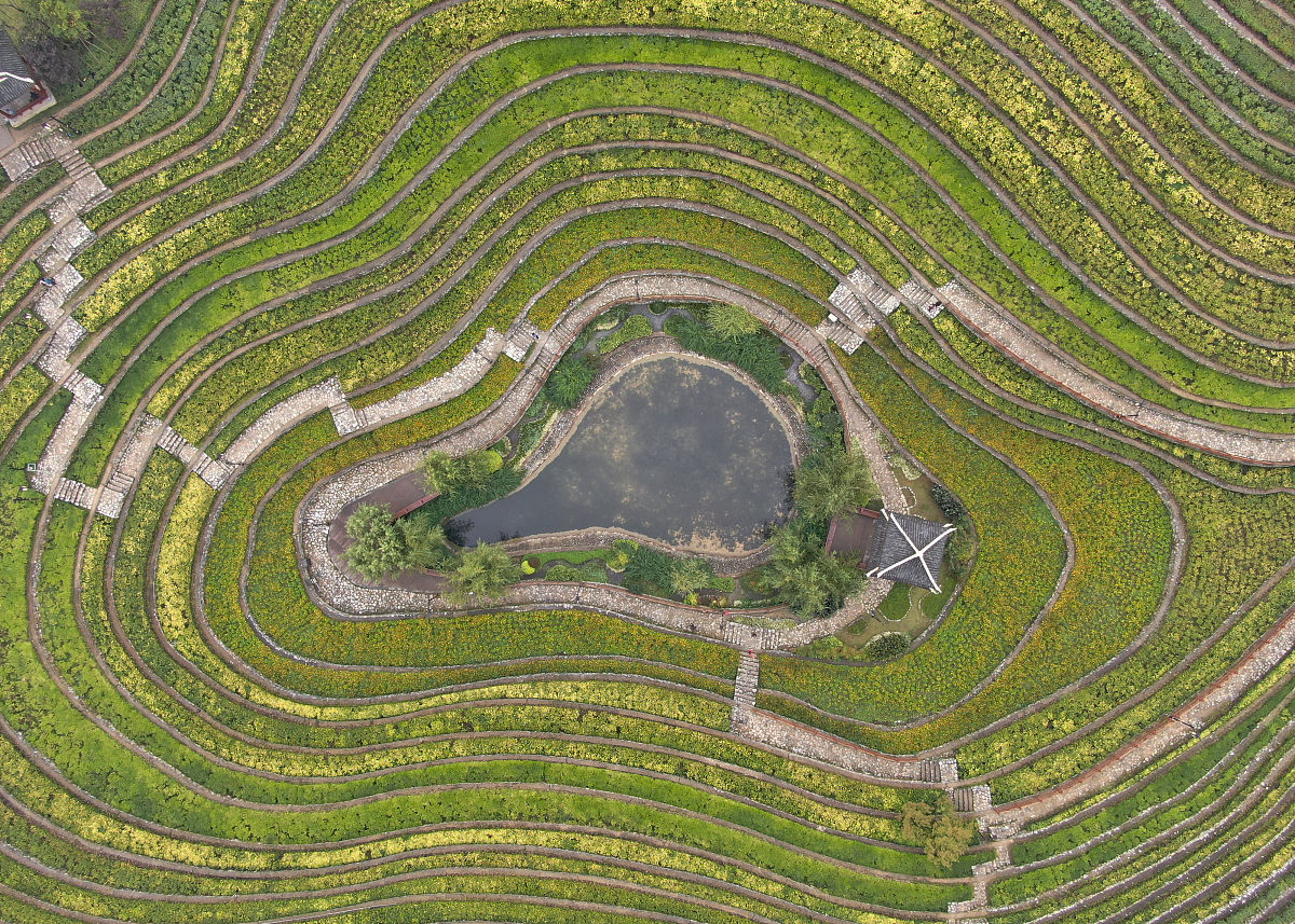 曲靖农业学校2019年五年制专科招生信息