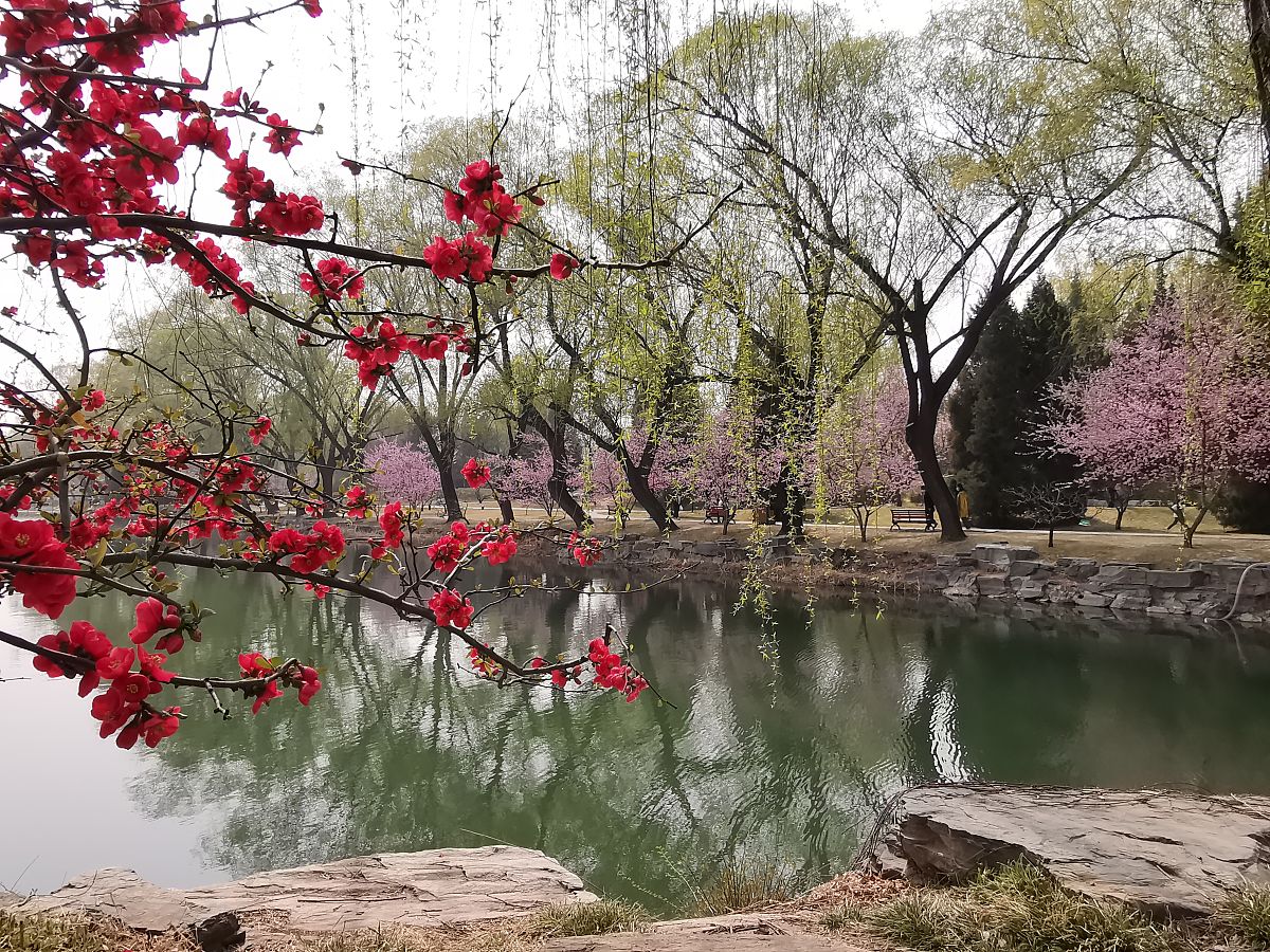 驿路梨花分为几个部分