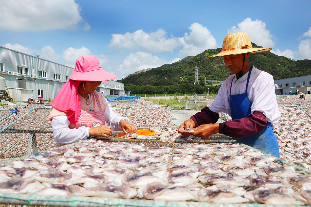 商丘学院招生计划制定解读：专业选择与人数确定