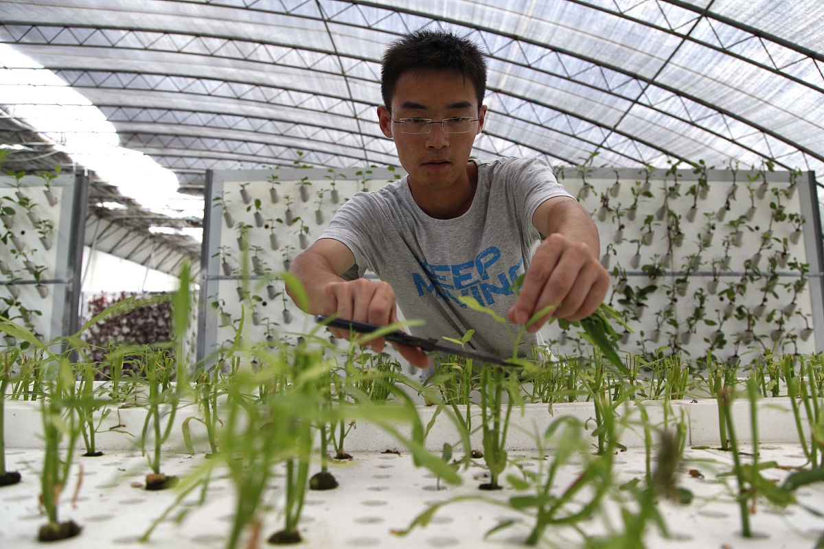四川植物保护中专中职学校推荐：专业院校一览