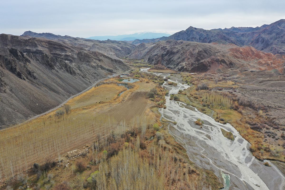 小学一年级描写夜色的作文300字范文