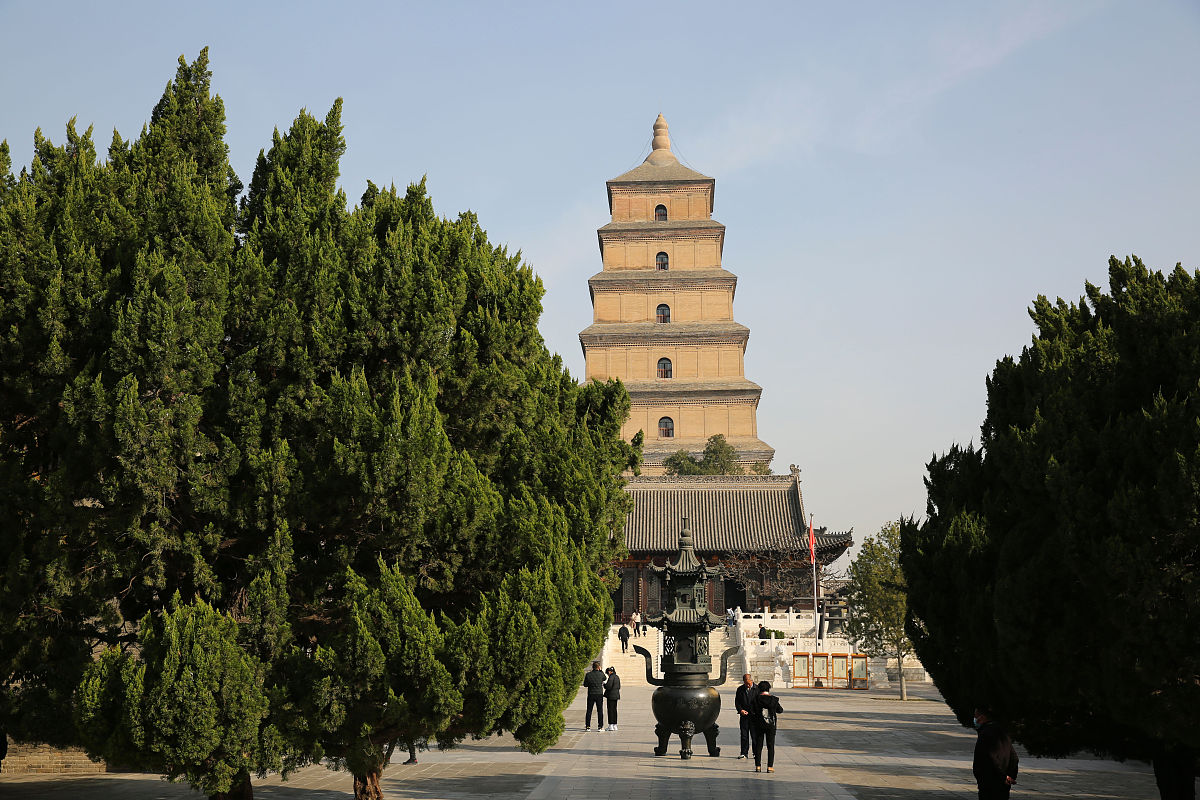 2021年3月4日,阳春三月,西安大雁塔周边梅花,玉兰花, 杏花等等争相绽