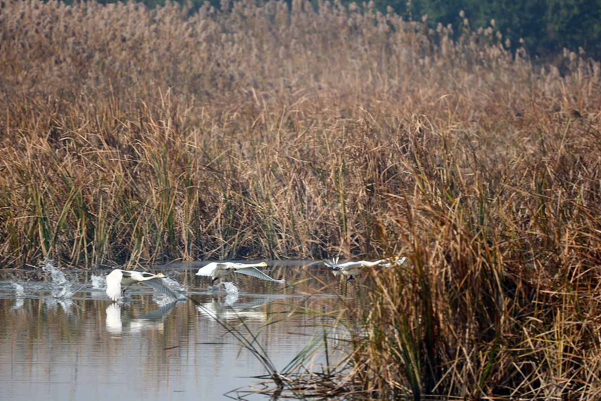 江苏洪泽中等职业学校2022年招生简章 - 附招生专业及计划