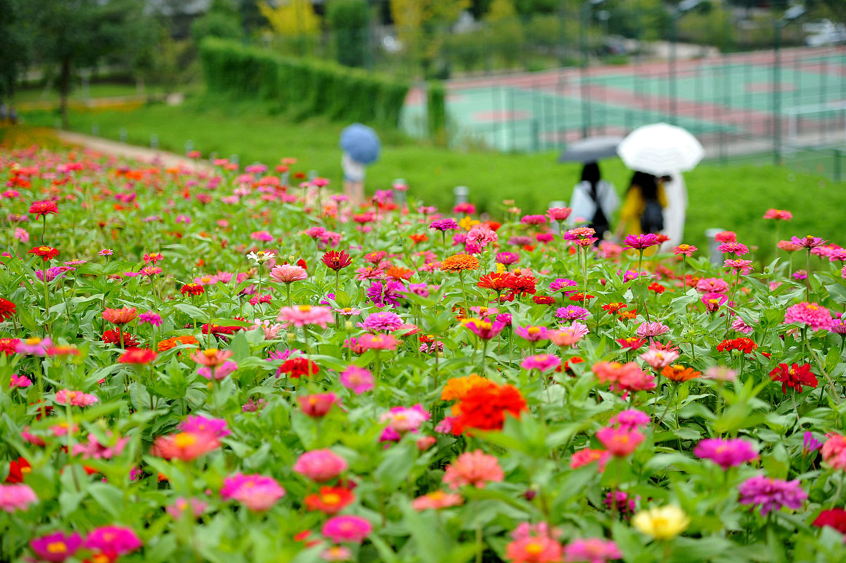 2018年浙江师范大学排名用