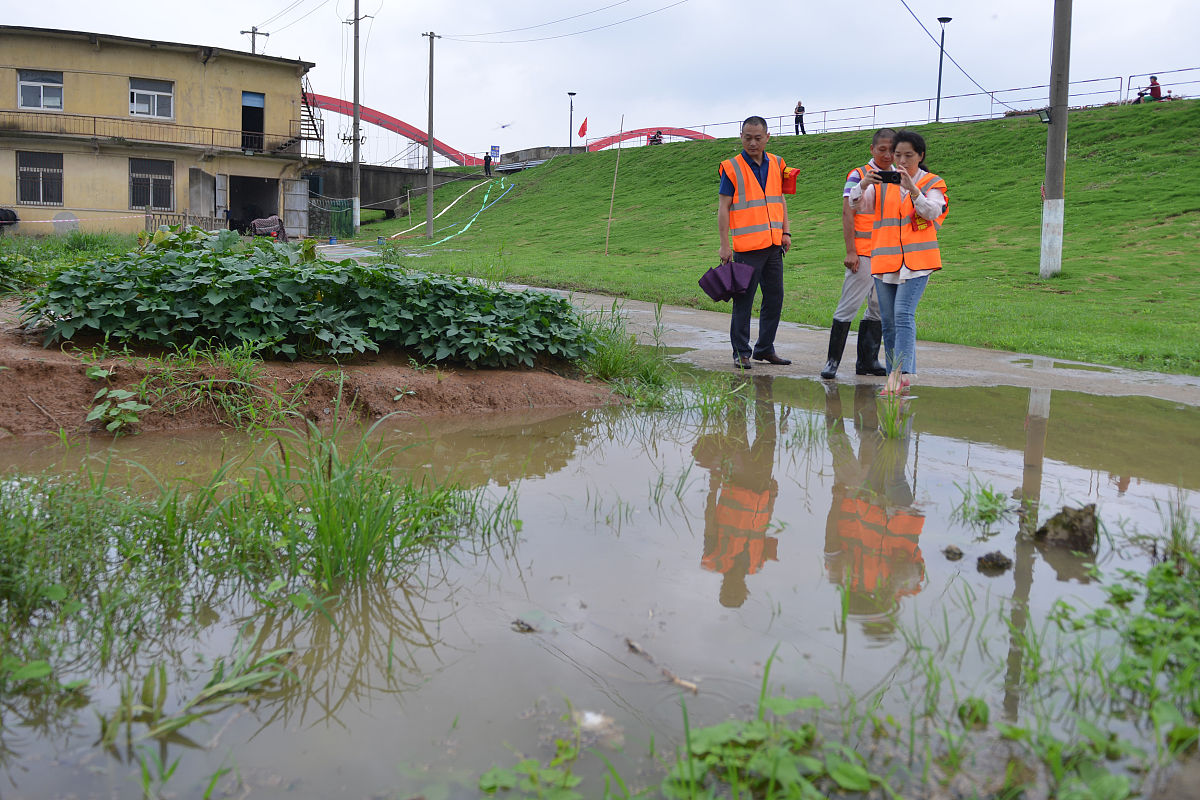 河道治理搭建模板固定检查记录