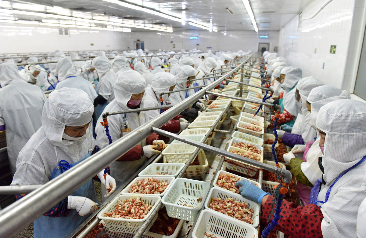 农畜特产品加工专科就业前景分析：如何提升竞争力？
