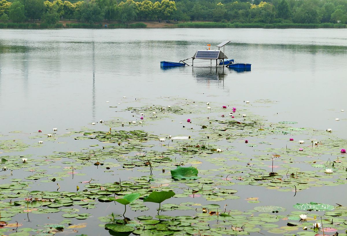 国内在线水质监测系统技术原理及研发路线 - 全面解析