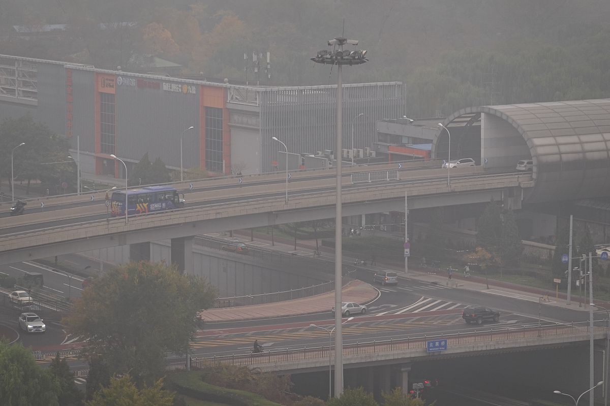 精神沉郁临床评分分级：轻度、中度和重度